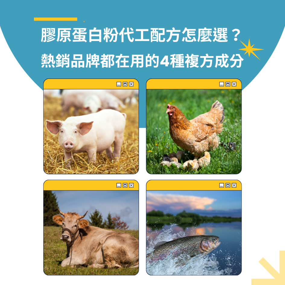 膠原蛋白粉代工配方怎麼選？熱銷品牌都在用的4種複方成分